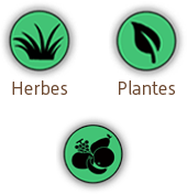 Herbe & Plantes & Fruits