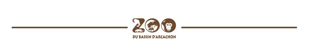 bandeau-zoo copie